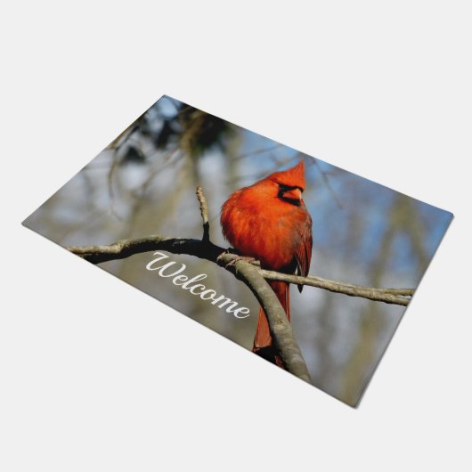 Cheery Cardindindinaal Welkomstwoord Deurmat (Schuin)