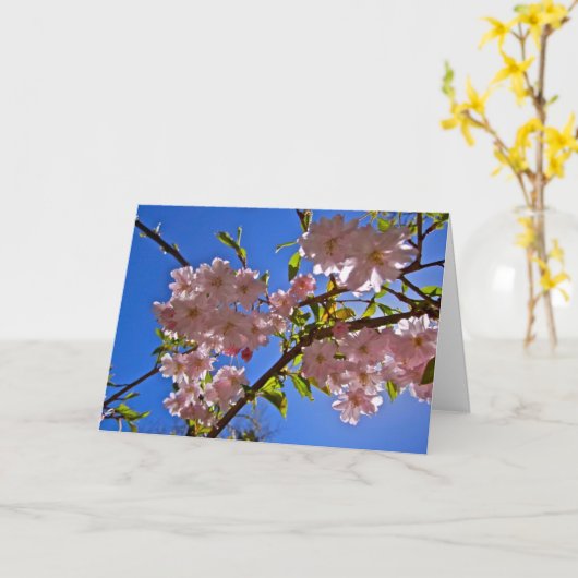Cheery Cherry Blossom Greeting and Note Cards Kaart (Gele Bloem)