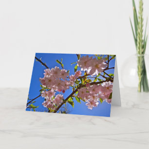 Cheery Cherry Blossom Greeting and Note Cards Kaart