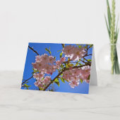 Cheery Cherry Blossom Greeting and Note Cards Kaart (Voorkant)