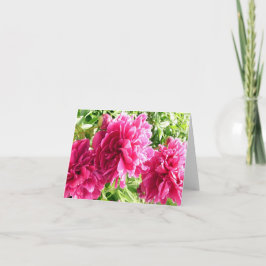 Cheery Peonies/Note Card Kaart