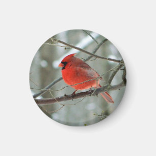 Cheery Red Kardinaal Magnet