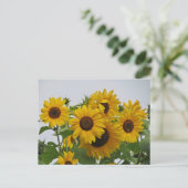 Cheery Sunflower Group Briefkaart (Staand voorkant)
