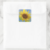 Cheery Sunflower op Sky Vierkante Sticker (Tas)