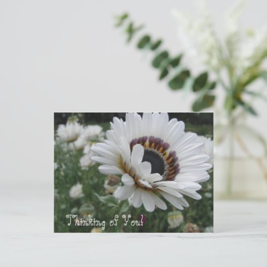 Cheery Thinking of You Briefkaart (Staand voorkant)