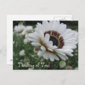 Cheery Thinking of You Briefkaart (Voorkant / Achterkant)