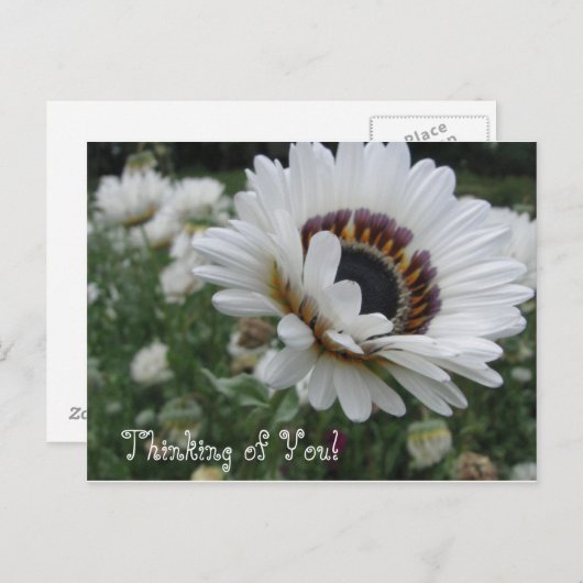 Cheery Thinking of You Briefkaart (Voorkant / Achterkant)