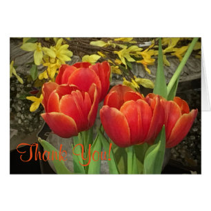 Cheery Tulip Thankyou