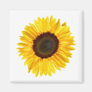 Cheery Yellow Sunflower Magneet