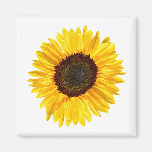 Cheery Yellow Sunflower Magneet (Voorkant)