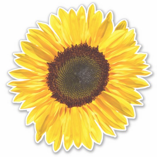 Cheery Yellow Sunflower Sticker (Voorkant)