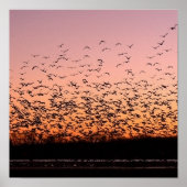 CheerySunset Poster (Voorkant)