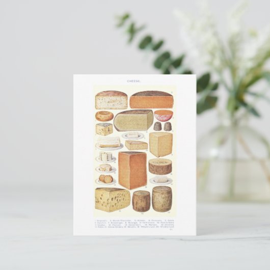  Cheese Illustration Briefkaart (Staand voorkant)