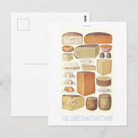  Cheese Illustration Briefkaart (Voorkant / Achterkant)