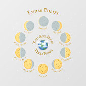 Cheese Moon Whimsical Lunar Phases Chart Science Raamsticker (Vel)