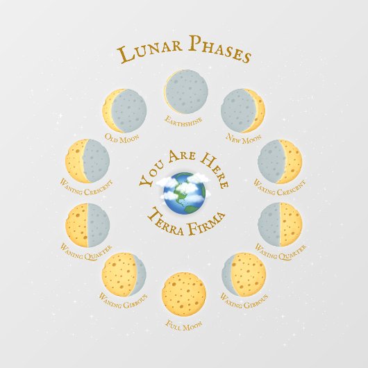 Cheese Moon Whimsical Lunar Phases Chart Science Raamsticker (Vel)