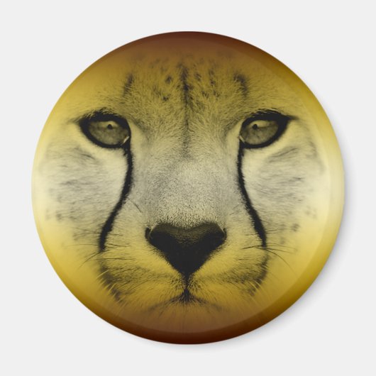 CHEETAGEZICHT MAGNEET (Voorkant)