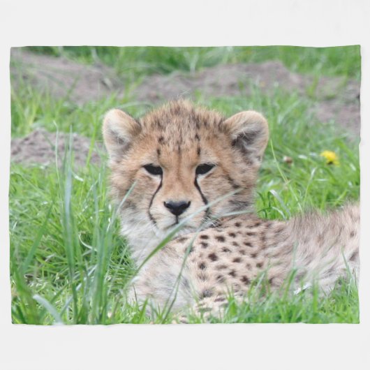 Cheetah20150904 Fleece Deken (Voorkant (Horizontaal))