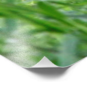 Cheetah20150904 Foto Afdruk (Hoek)