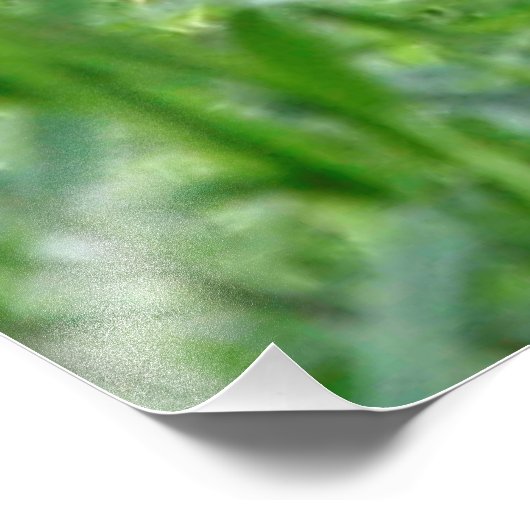 Cheetah20150904 Foto Afdruk (Hoek)