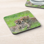Cheetah 001 bier onderzetter (Linkerzijde)