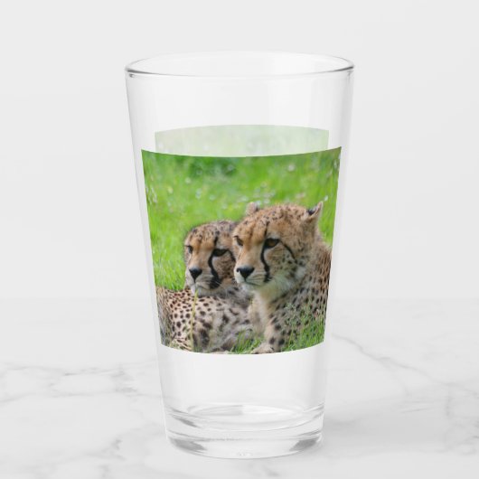 Cheetah 001 glas (Voorkant)