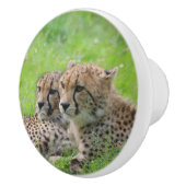 Cheetah 001 keramische knop (Rechts)