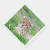 Cheetah 002 servet (Hoek)