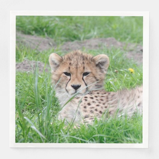 Cheetah 002 servet (Voorkant)