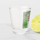 Cheetah 002 shot glas (Links)