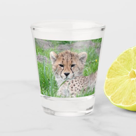 Cheetah 002 shot glas (Voorkant)
