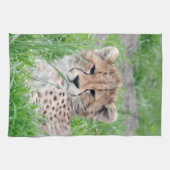 Cheetah 002 theedoek (Horizontaal)