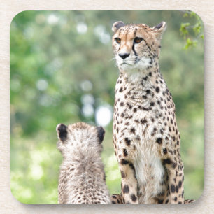 Cheetah 004 bier onderzetter