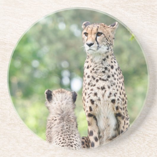 Cheetah 004 zandsteen onderzetter (Voorkant)