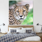 Cheetah 009 canvas afdruk (Insitu (Slaapkamer))