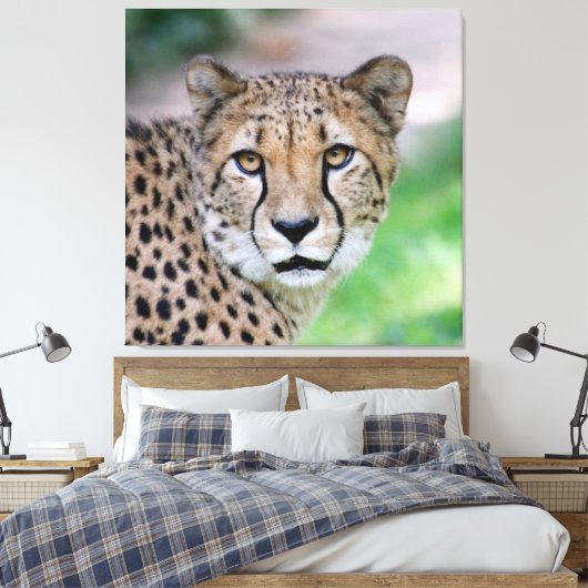 Cheetah 009 canvas afdruk (Insitu (Slaapkamer))
