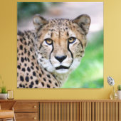 Cheetah 009 canvas afdruk (Insitu (Woonkamer))