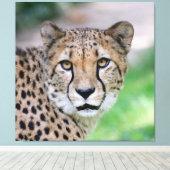 Cheetah 009 canvas afdruk (Insitu (Houten vloer))