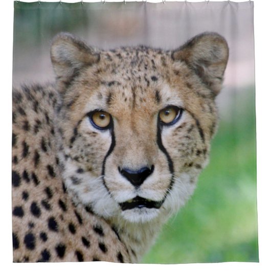 Cheetah 009 douchegordijn (Voorkant)