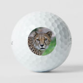 Cheetah 009 golfballen (Voorkant)