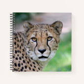 Cheetah 009 notitieboek (Voorkant)