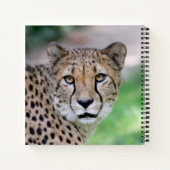 Cheetah 009 notitieboek (Achterkant)