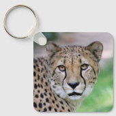 Cheetah 009 sleutelhanger (Voorkant)