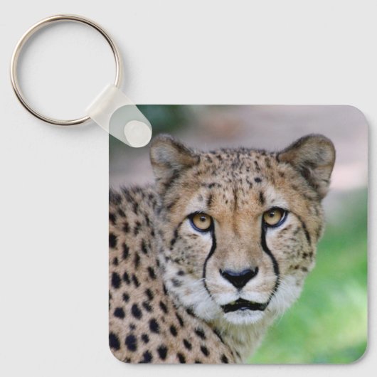 Cheetah 009 sleutelhanger (Voorkant)