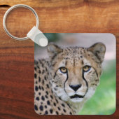 Cheetah 009 sleutelhanger (Voorkant)