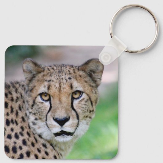 Cheetah 009 sleutelhanger (Achterkant)