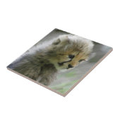 Cheetah 014 tegeltje (Zijkant)