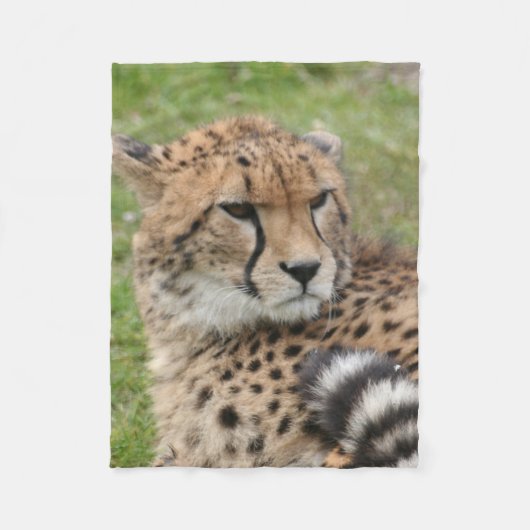 Cheetah 1115 fleece deken (Voorkant)