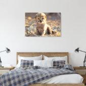 Cheetah 19 dagen oude mannelijke kubus canvas afdruk (Insitu (Slaapkamer))