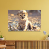 Cheetah 19 dagen oude mannelijke kubus canvas afdruk (Insitu (Woonkamer))
